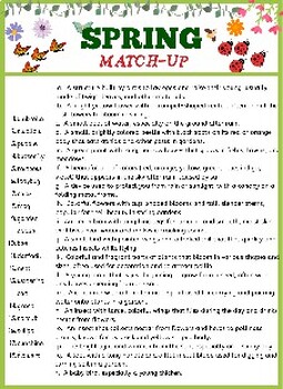 Preview of Spring Words and Vocabulary; Match-up worksheet