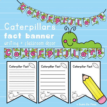 Preview of Spring Writing Activity - Caterpillar Facts