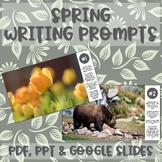 Spring Writing Prompts - Visual & Text - Grades 4-8 - PAT 
