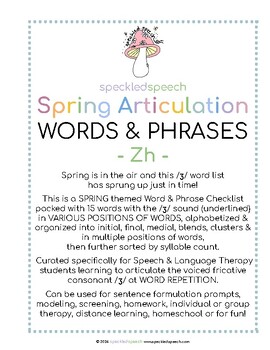 Preview of Spring Zh Word Checklist