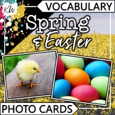 Flashcards: Spring Vocabulary and Easter Vocabulary