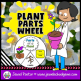 Spring and Plants Science Activities | Plant Parts Interac