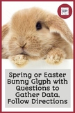 Spring or Easter Bunny Glyph with Questions to Gather Data