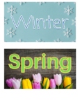 Spring or Winter Sorting Game (real pictures)