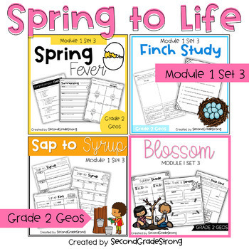Preview of Geode Level 2 Spring to Life Module 1 Set 3 Bundle