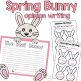 Spring writing craft activity opinion/descriptive 1st 2nd 