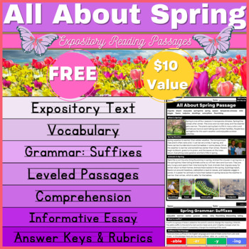 Preview of Springtime Reading Comprehension Passages Questions Grammar Discuss Vocab Essay