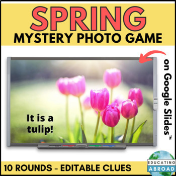 Preview of Springtime Science Guessing Game: A Fun and Educational Brain Break for Students