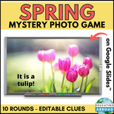 Springtime Science Guessing Game: A Fun and Educational Br