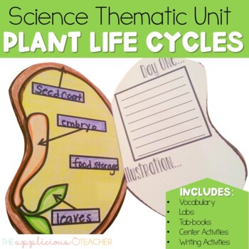 Preview of Plant Life Cycle Activities Experiments and Worksheets