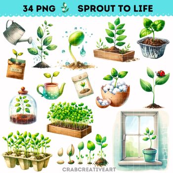 Preview of Sprout to Life Clipart, Plant Growth Process Illustrations, Growing Plant