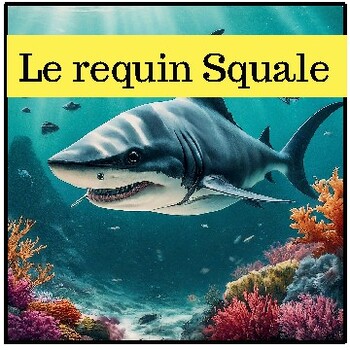 Preview of Reading comprehension  Squale, the Vegetarian Shark (2024 ) Short Stories French