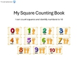 Square ADAPTED Counting Book | Special Education | Shapes 