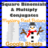Square Binomials & Multiply Conjugates Winter Mystery Pixe