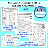 Square Numbers 1 to 16 & Square Roots Fun Activity