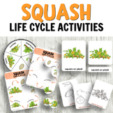 Squash Life Cycle Activities