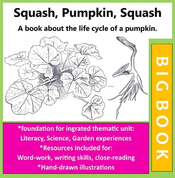 Preview of Squash Life Cycle Big Book