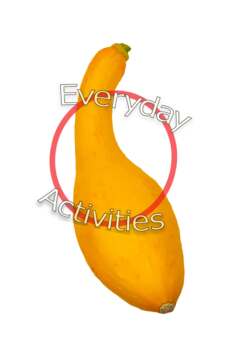 Preview of Stock Photo Squash, Yellow Squash, Vegetable, Food, Transparent Background