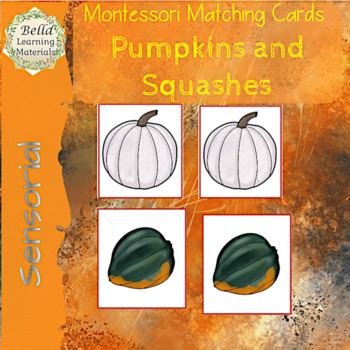 Preview of Squash and Pumpkins Montessori Matching Cards