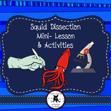 Squid Dissection Mini-Lesson