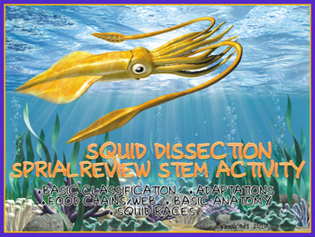 Preview of Squid Dissection Spiral Review STEM Activities