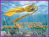 Squid Dissection Spiral Review STEM Activities