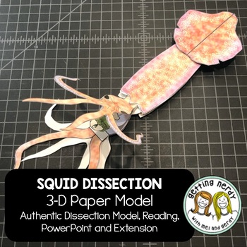 Preview of Squid Paper Dissection - Scienstructable 3D Dissection Model