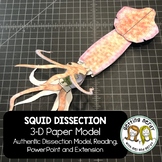 Squid Paper Dissection - Scienstructable 3D Dissection Mod