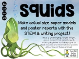 Squids - Actual-Size Models and Poster Reports