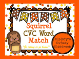 Squirrel CVC Word Match