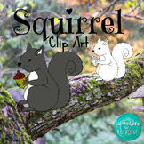Squirrel Clip Art