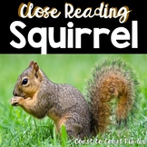 Close Reading ~ Squirrel ~ Nonfiction