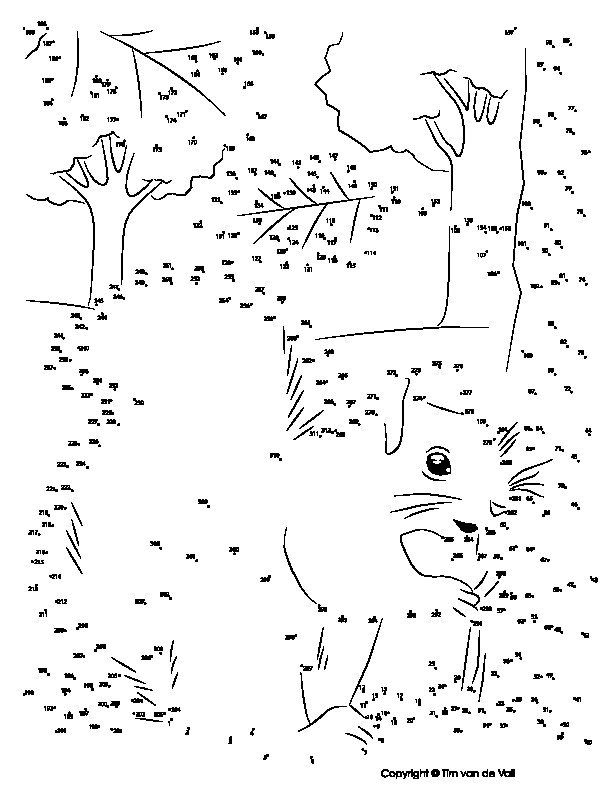 Squirrel Extreme DottoDot / Connect the Dot PDF by Tim's Printables