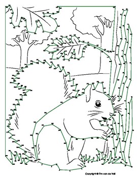 Squirrel Extreme Dot-to-Dot / Connect the Dot PDF by Tim's Printables