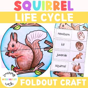Preview of Squirrel Foldout Life Cycle Craft