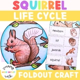 Squirrel Foldout Life Cycle Craft