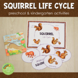Squirrel Life Cycle Set - Preschool & Kindergarten  Scienc