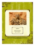 Squirrel Themed Nature Education Unit-Stage 2 (Magic Fores