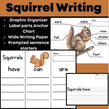 Preview of Squirrel Writing and Labeling- Informative (have/can/are) w/ Anchor Charts