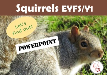Preview of Squirrels PowerPoint Early Years/KS1