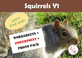 Preview of Squirrels PowerPoint and Lesson Plan + Worksheets