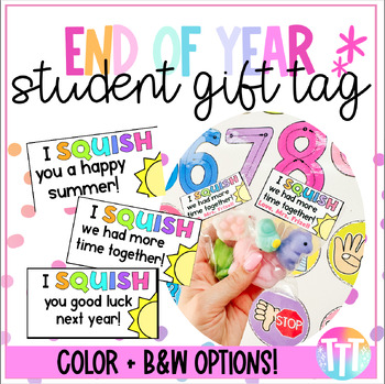 Preview of Squishies End of School Year Student Gift Tags