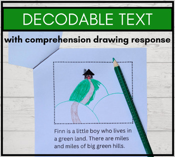 Preview of St. Patrick's Day Emergent Decodable Reader: Comprehension, Phonics & Fluency