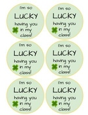 St. Patrick's Day "Lucky" Tags TK, K, 1st, 2nd, 3rd, 4th, 