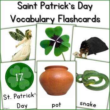 Preview of St Patrick`s Day Vocabulary Cards for Speech Therapy and ESL