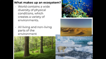 Preview of Stability in ecosystems lesson, google slides