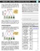 Stabilizing, Directional & Disruptive Selection - Evolution Learning ...