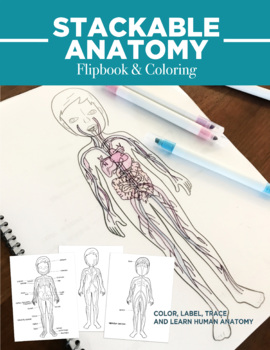 Preview of Stackable Anatomy Flipbook and Coloring
