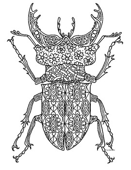 Download Stag Beetle Insect Zentangle Coloring Page by Pamela Kennedy | TpT