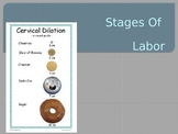Stages of Labor PPT